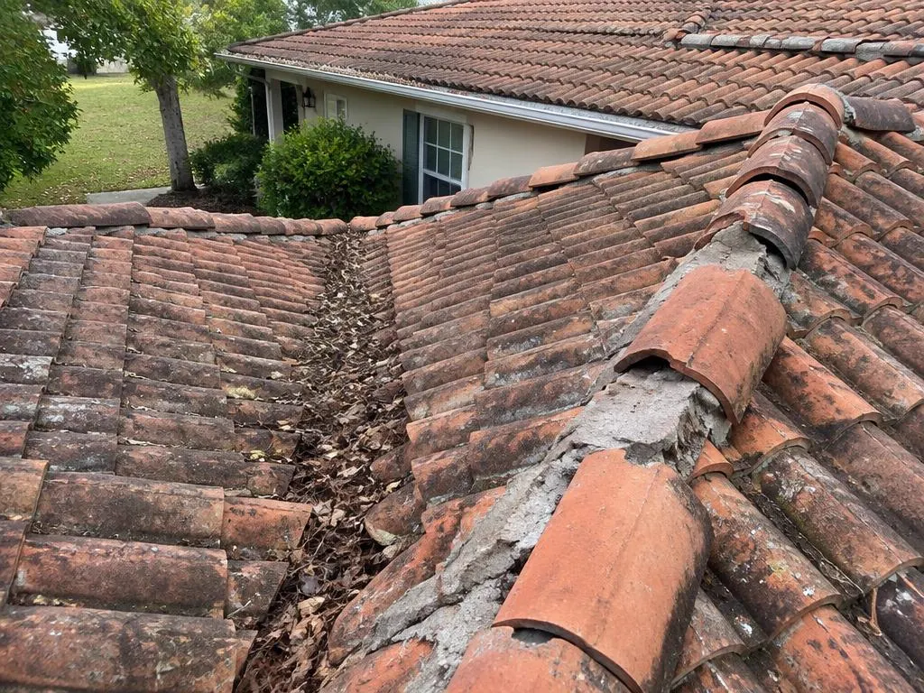 Avant travaux : Entretien de toiture – chantier dans le Gard
